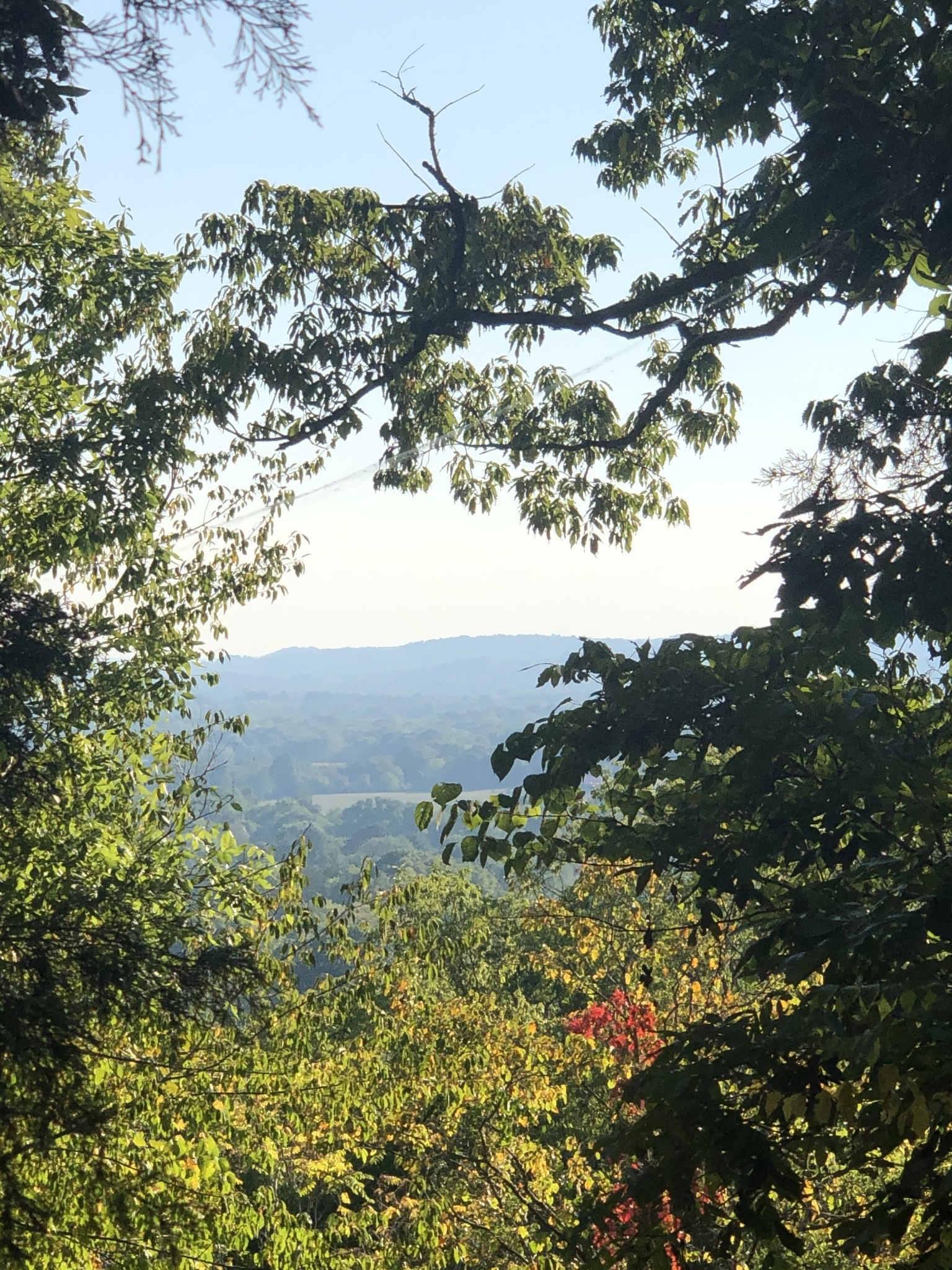 1462 Sneed Rd W, Franklin, TN 37069 MLS RTC2646761