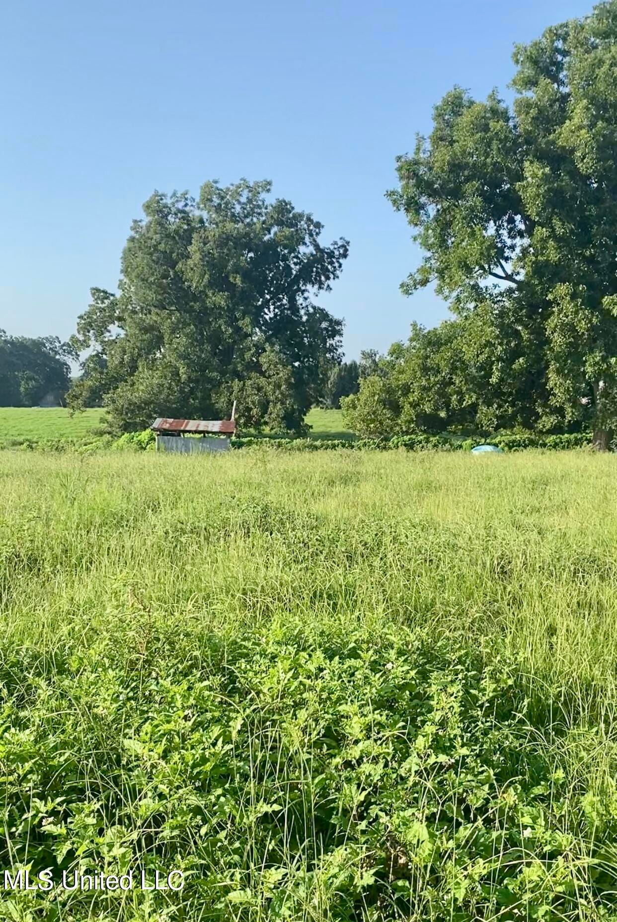 117 Pump Branch Rd, Wiggins, MS 39577 MLS 4094601