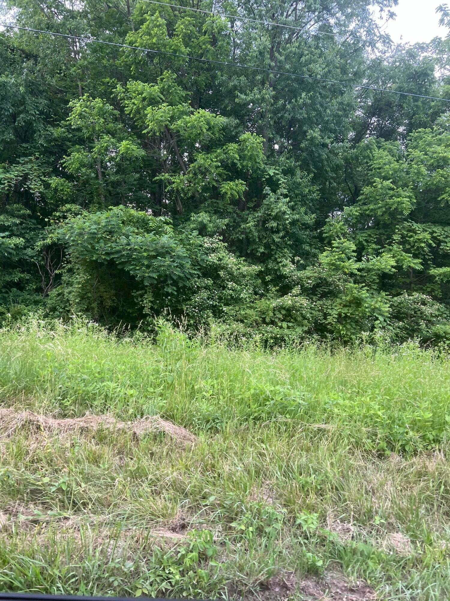 29311 Rabbit Ridge Rd, Howard, OH 43028 MLS 224022904