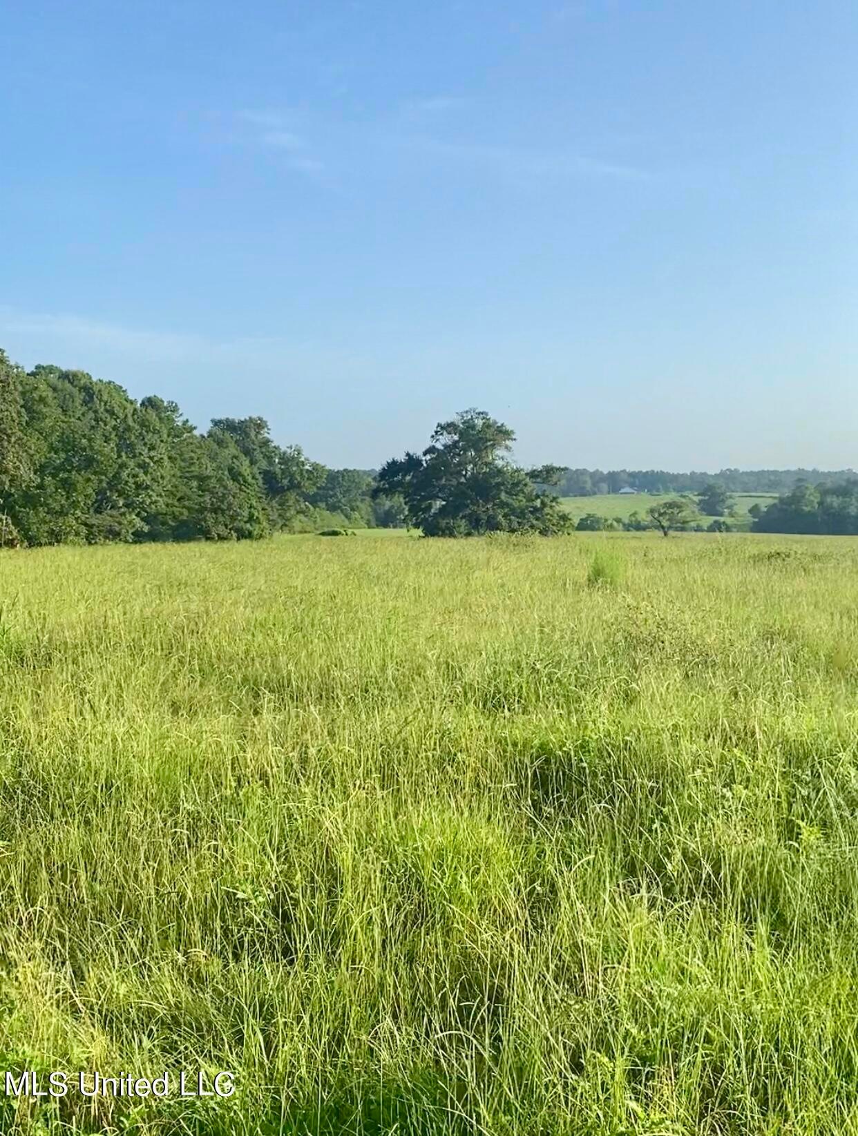 115 Pump Branch Rd, Wiggins, MS 39577 MLS 4094600