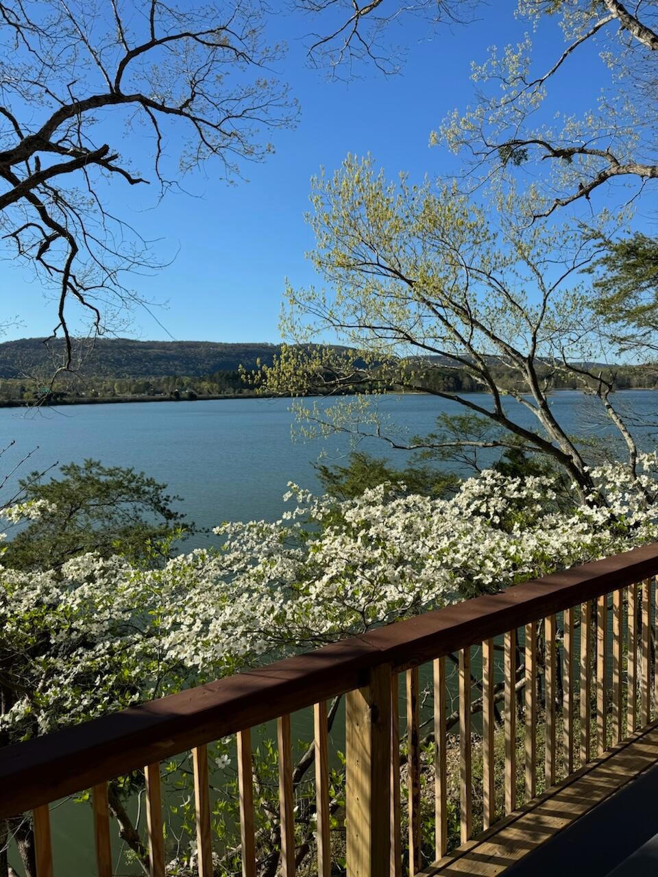 11646 Hixson Pike, Soddy Daisy, TN 37379 MLS 1390302