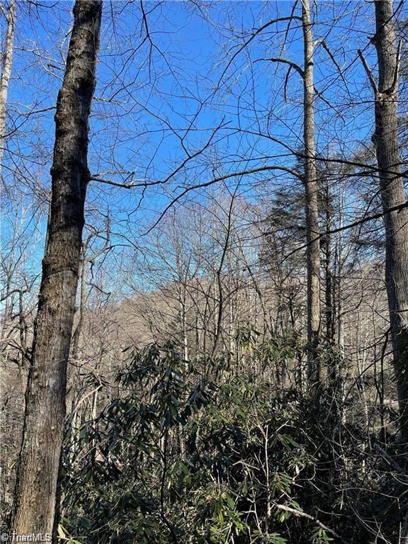 Lot E-15 Laurel Ridge Rd, Banner Elk, NC 28604 - photo 3