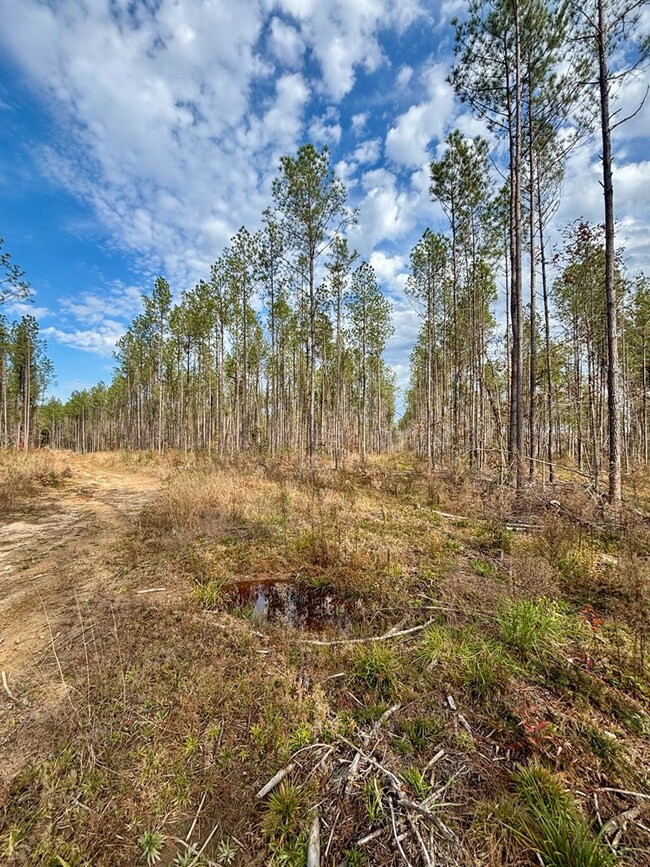 tbd Wall St, Osyka, MS 39657 - photo 5