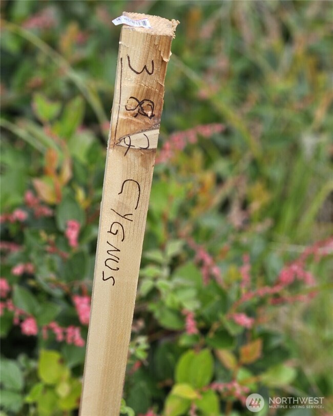 382 Cygnus Ave SW, Ocean Shores, WA 98569 - photo 4