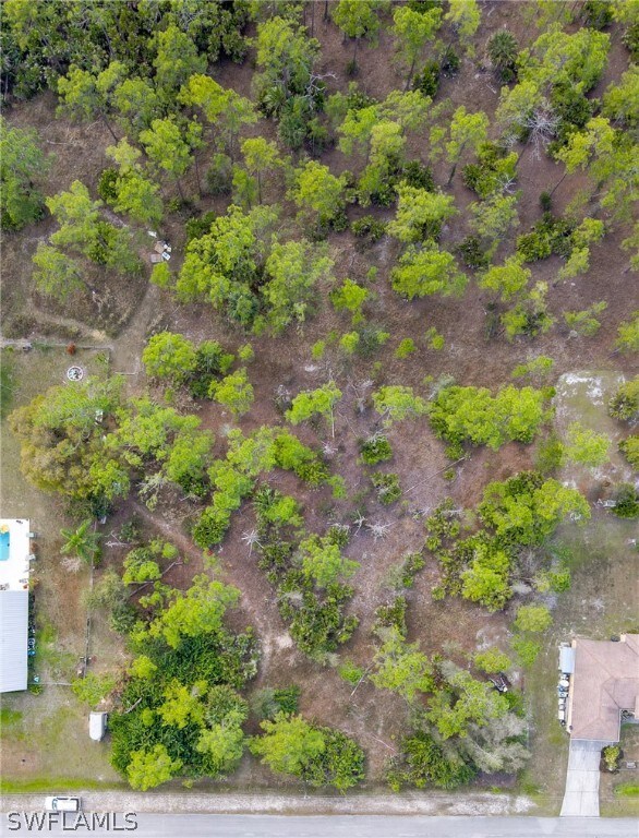 2119 Truman Ave, Alva, FL 33920 - photo 7