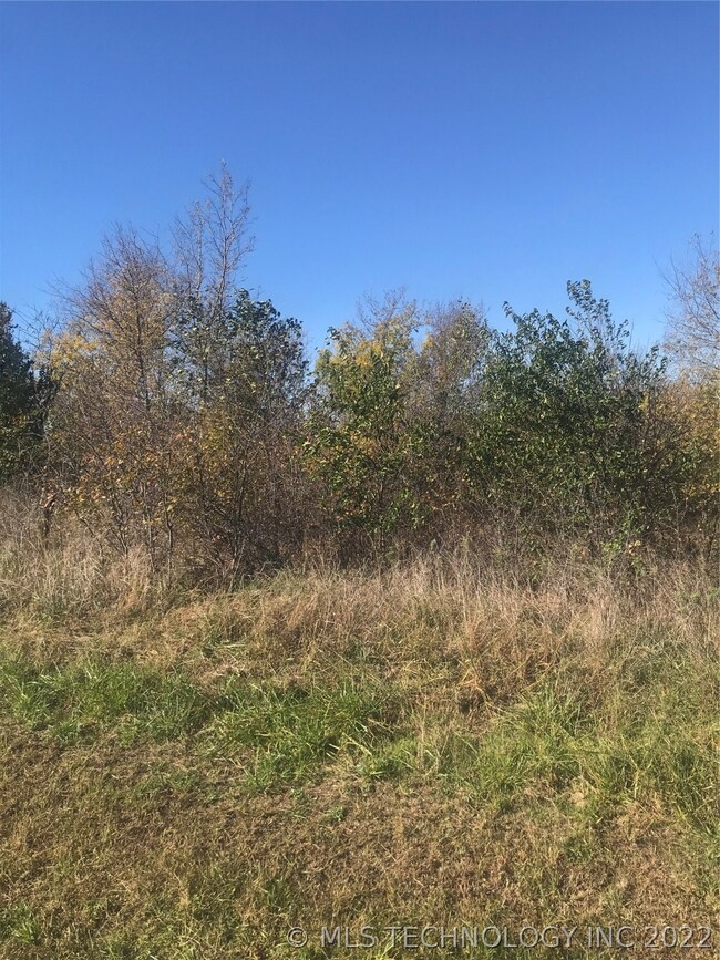 unlisted-address, Skiatook, OK 74070 - photo 7