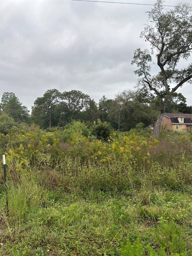 0 Vallie St, Pinehurst, TX 77362 - photo 7