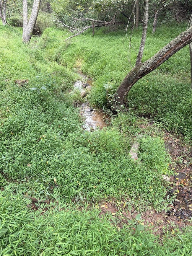 TBD Cornerstone Rd, Independence, VA 24348 - photo 3