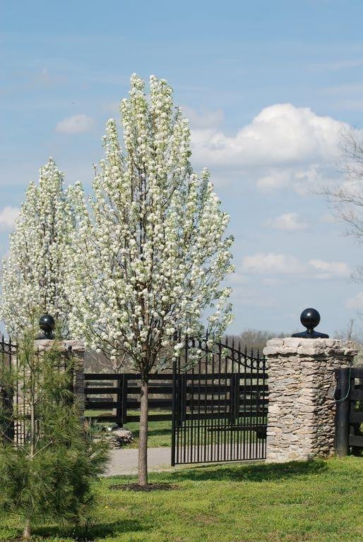 1070 Kidds Mill Rd E, Versailles, KY 40383 - photo 2