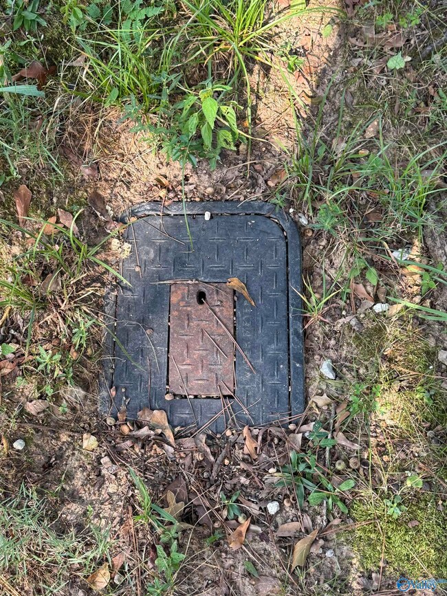 35 County Road 753, Piedmont, AL 36272 - photo 6