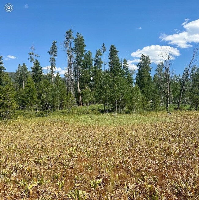 Photo of actual land and view from land