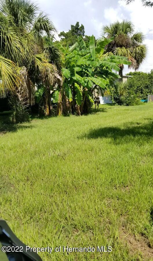 Capri Ln 4