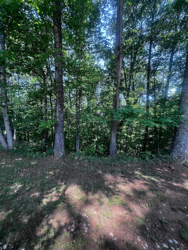 LT 24 Jericho Rd, Ona, WV 25545 - photo 2