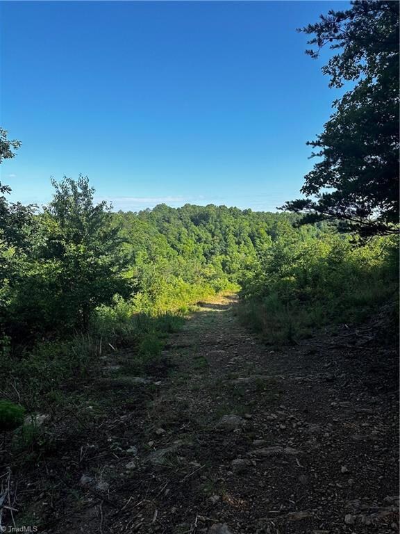 Trail on Ridge