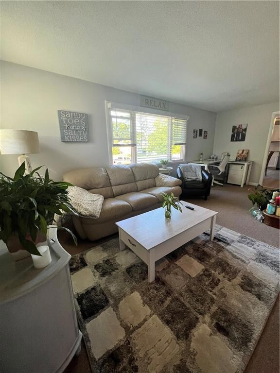 Spacious Living Area w/ Room for Office Space