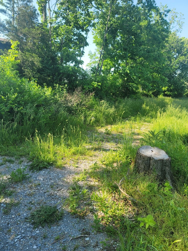 300 Goebel White Rd, Carlisle, KY 40311 - photo 5