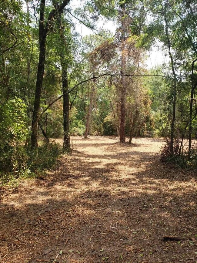 xx Shadeville Rd, Crawfordville, FL 32327 - photo 4