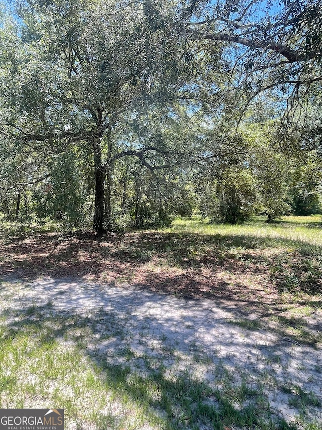 LOT 1A-13 Coopers Point Dr NE, Townsend, GA 31331 - photo 2