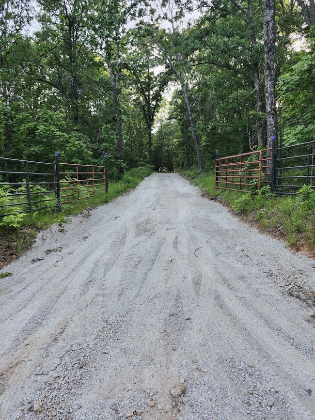 123951_1755201990496