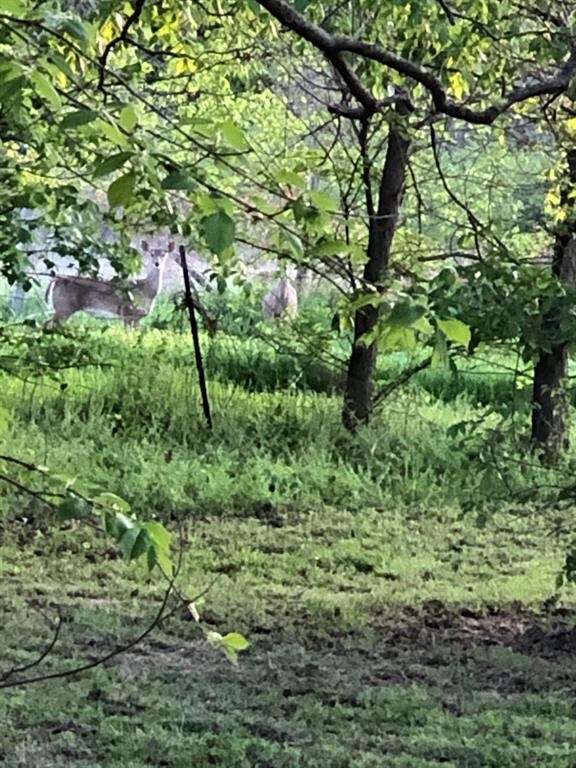 25755 Fm 901, Whitesboro, TX 76273 - photo 3