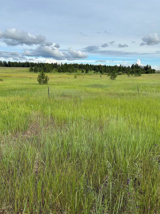 0 N Whitetail Lane Hh & Gg Ln unit SAR202526630, Chattaroy, WA 99003 - photo 2