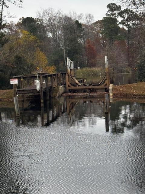 254 Ridge Lake Dr, Manning, SC 29102 - photo 7