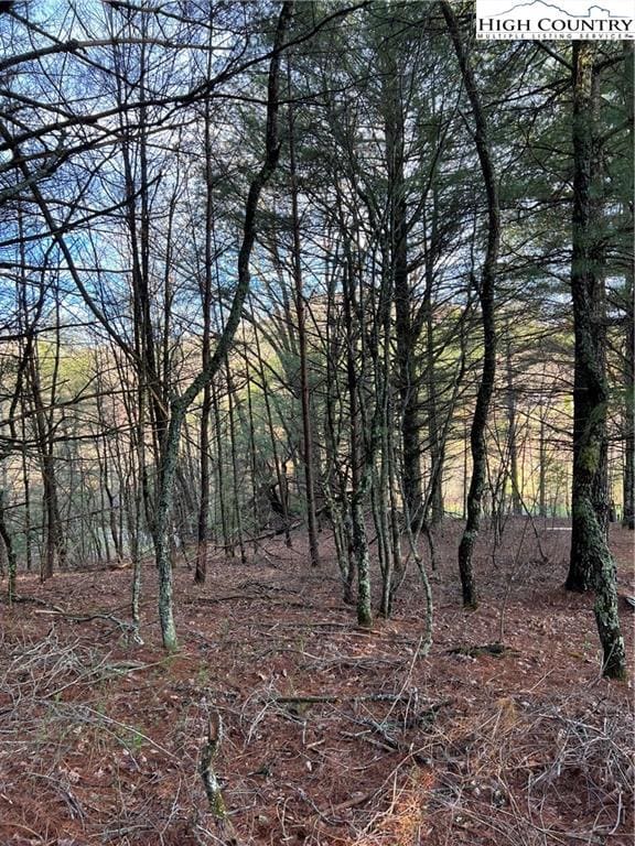 13 Speckled Dr, Laurel Springs, NC 28644 - photo 2