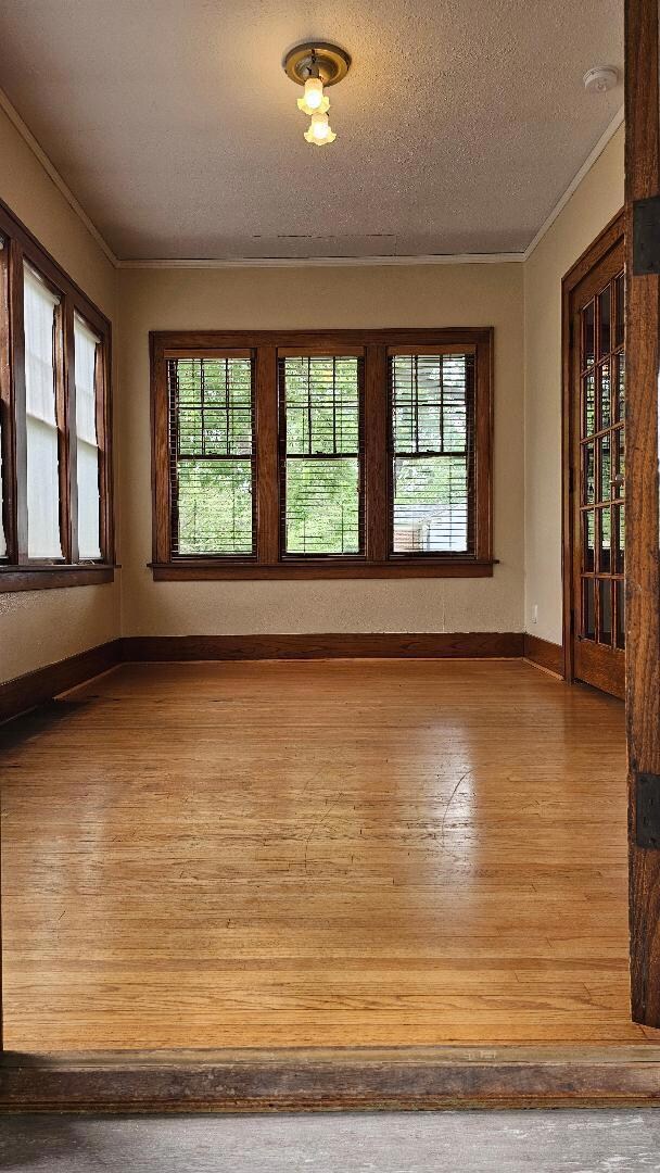 FRONT ROOM 2 6-8-25