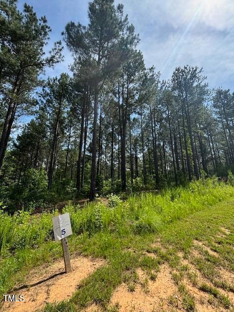 5 Pinnacle Shores Dr, Macon, NC 27551 - photo 4