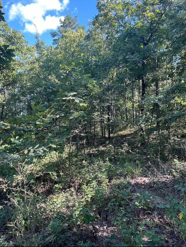 Tract 4 SE 1083 Road Ave, Red Oak, OK 74563 - photo 2