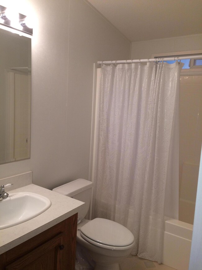Hall Bathroom