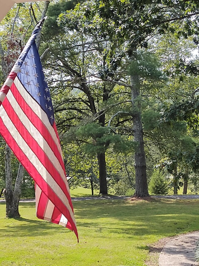 Flag