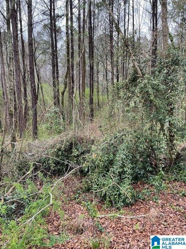 0 Osborn St unit 1 21413432, Heflin, AL 36264 - photo 6