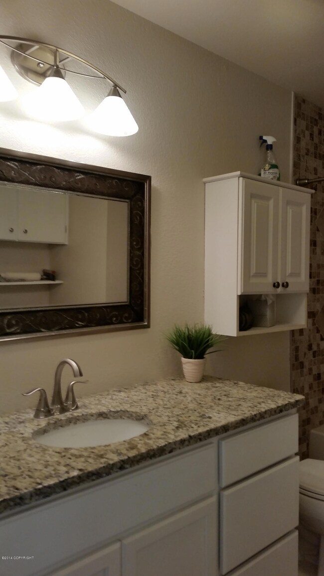 Bath Vanity