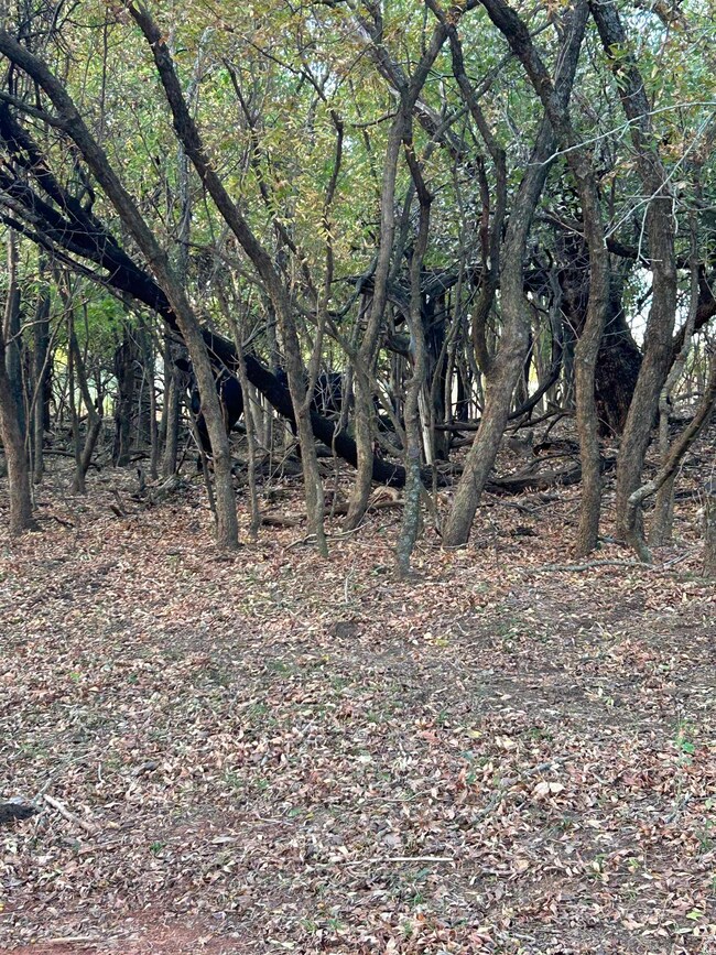 20463 E 750 Rd unit E2SW4 of Sec21-17N-5, Crescent, OK 73028 - photo 7