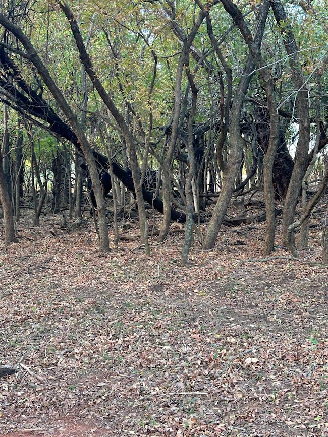 20463 W 750 Rd unit E2SW4 of Sec21-17N-5, Crescent, OK 73028 - photo 7