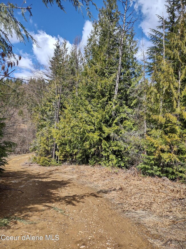 IMG_20220423_113915163_HDR