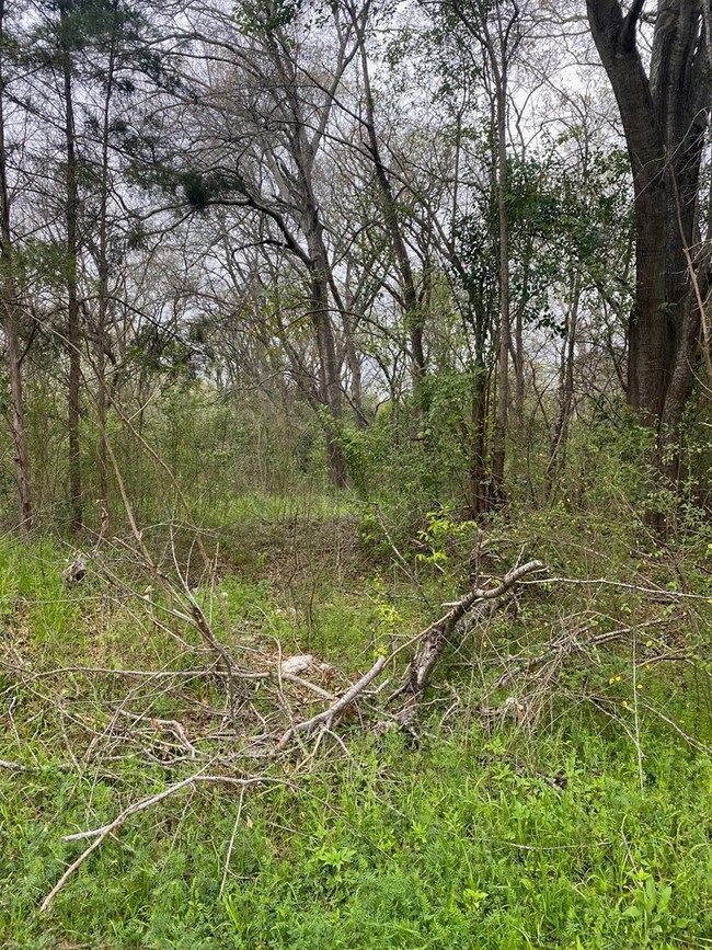 1917 Railroad, Nacogdoches, TX 75961 - photo 5