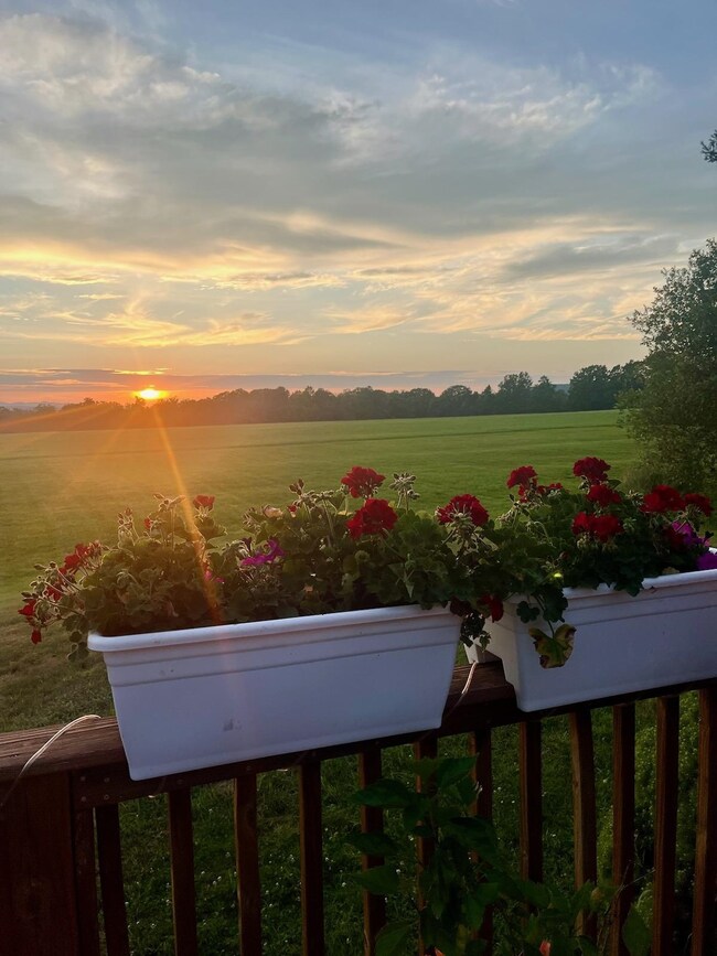 445 Route 63, Chesterfield, NH 03443 - photo 6