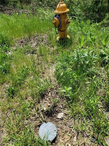 Public Water on property.
