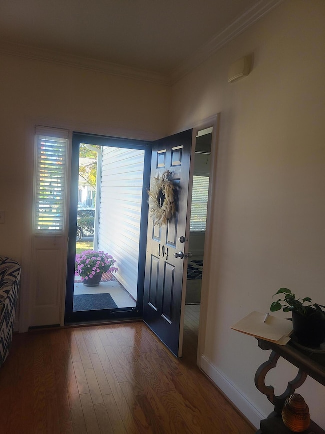 104 Amelia Forest Ln, Columbia, SC 29209 - photo 5