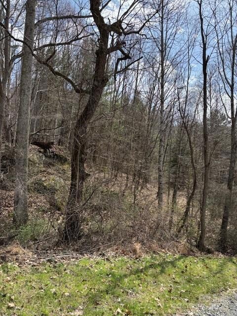 25 Green Meadow Ln unit 25, Mars Hill, NC 28754 - photo 7