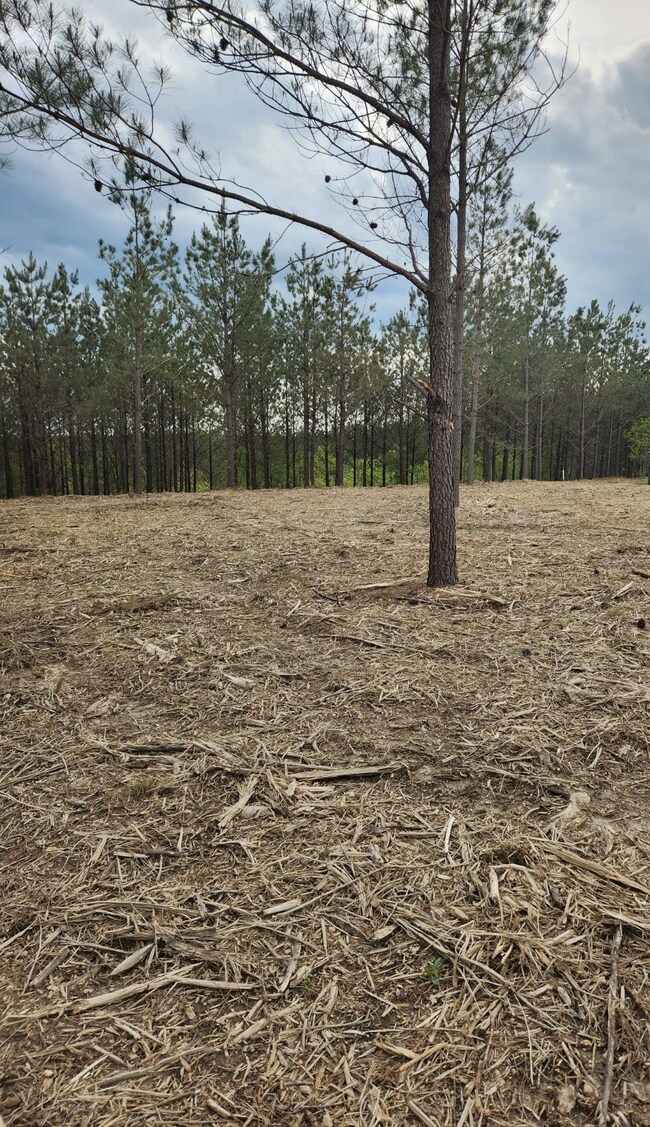 231 Pioneer Dr, Linden, TN 37096 - photo 2