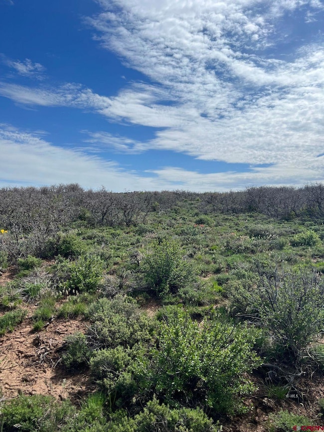 3 County Road C, Dove Creek, CO 81324 - photo 3