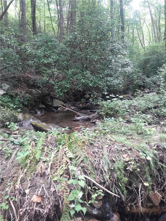 0 Mulberry Cir unit 7660881, Jasper, GA 30143 - photo 7