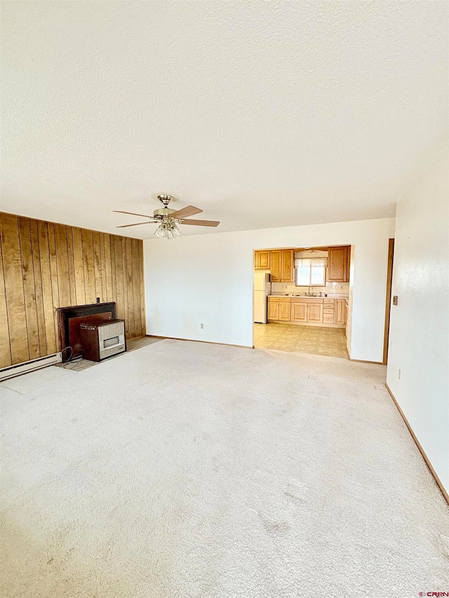 10728 Mesa View Dr, Austin, CO 81410 - photo 5