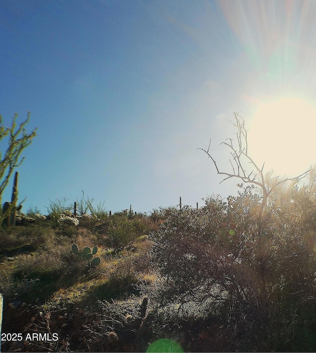 0 E Silver Tip Rd unit 6955485, Queen Valley, AZ 85118 - photo 6