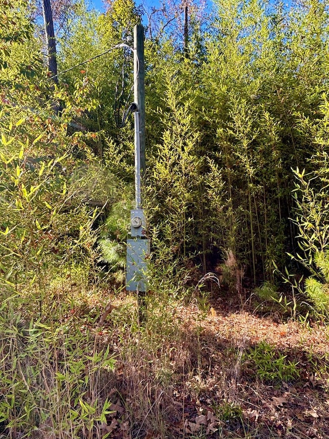 TBD Forest Blvd, Abbeville, AL 36310 - photo 3