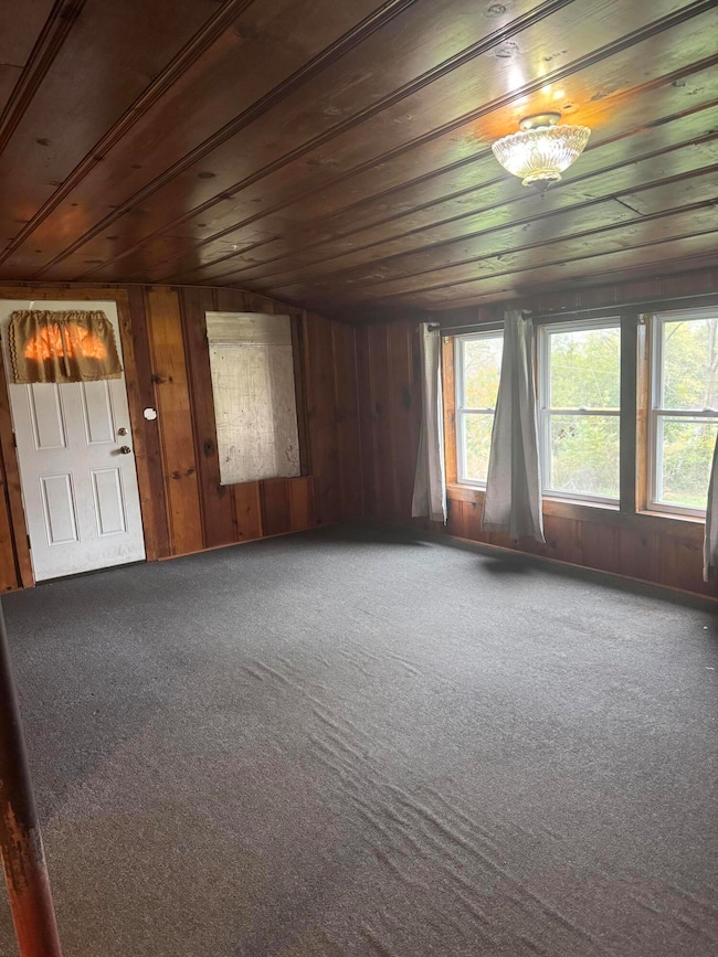 205 W Hamilton Ave, Ava, MO 65608 - photo 3