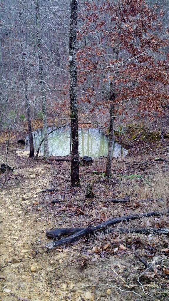 2614 Providence Rd, Somerset, KY 42501 - photo 6